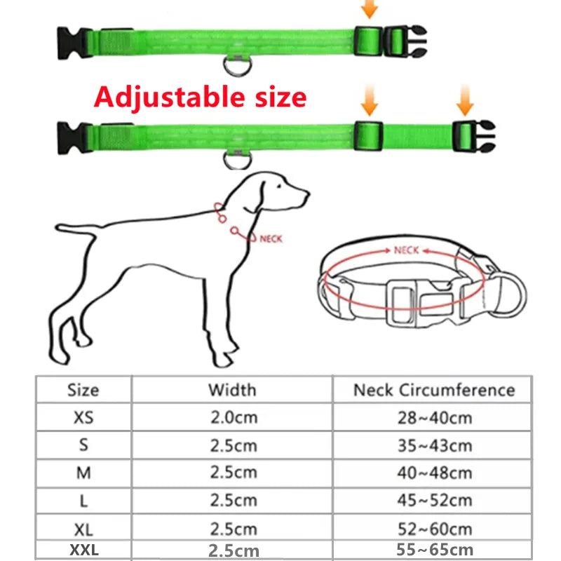 Collier LED ajustable pour chiens